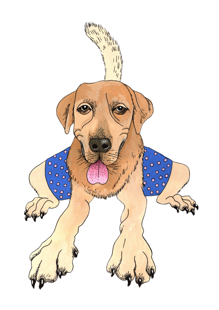 Gaspard fait du Yoga ! T-shirts originaux avec des animaux.