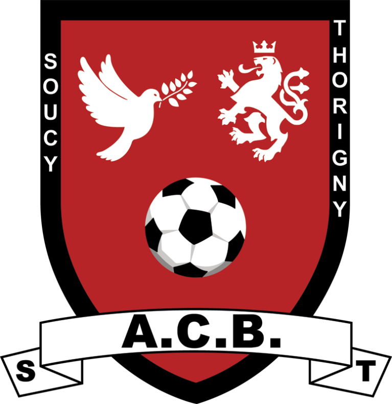 Vectorisation de logo